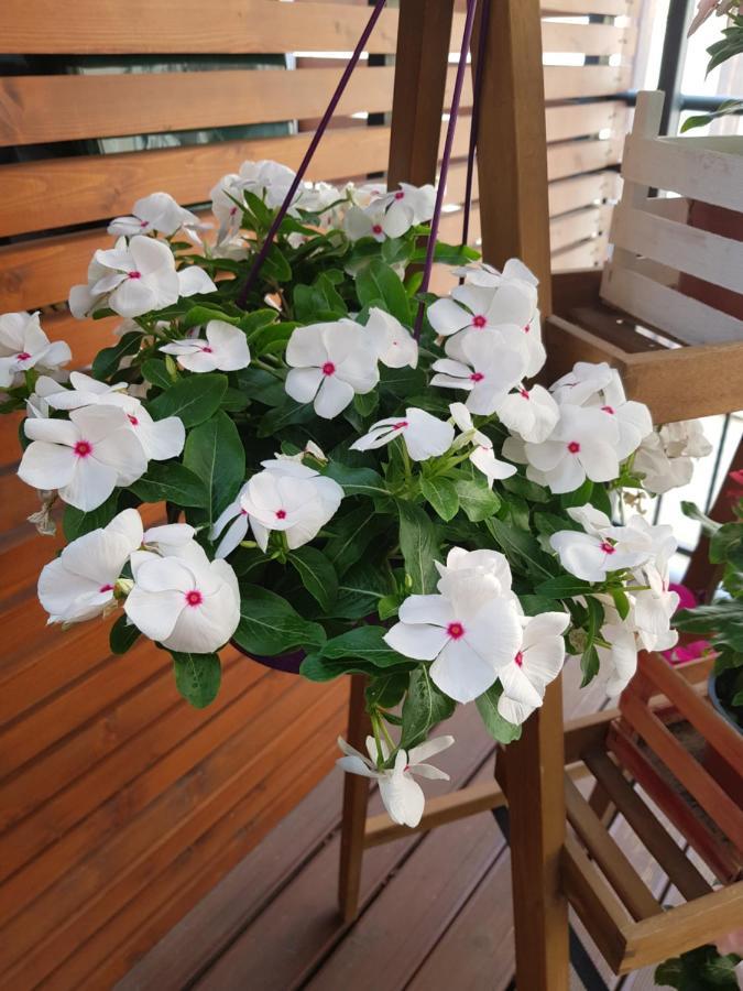 La Terrazza Di Carolina Bed & Breakfast Agrigento Eksteriør bilde